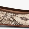 Giulia G.12.ballerina Ballerines En Taupe boutiqued en ligne 20