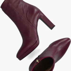 Notre-v 67436 Bottines En Rouge boutiqued en ligne 16